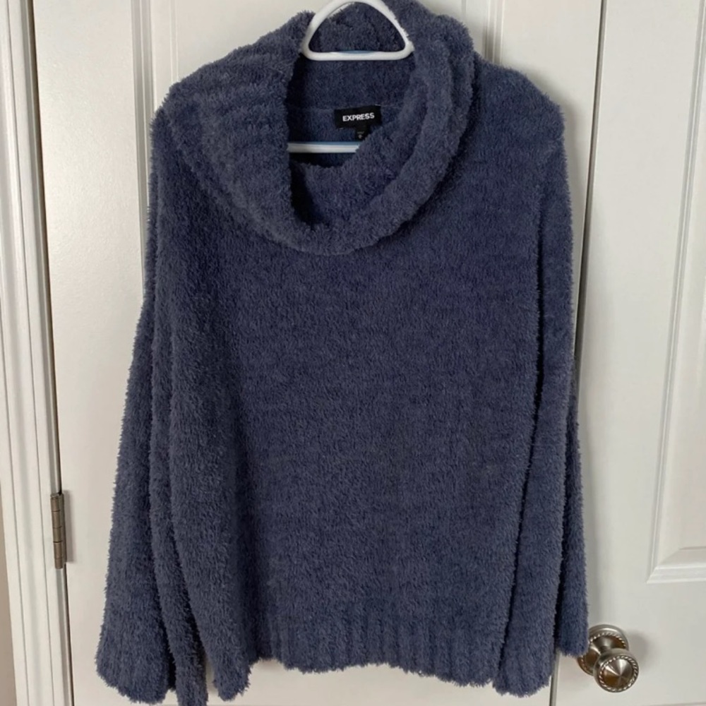 Express cows neck sweater